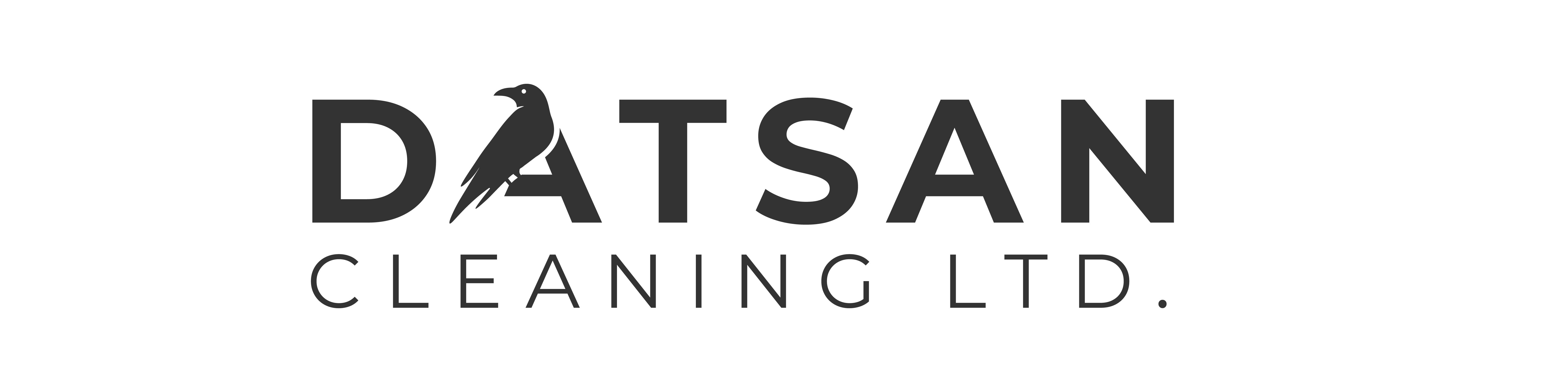 Datsan Cleaning Logo